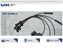 Tablet Screenshot of caisrl.com